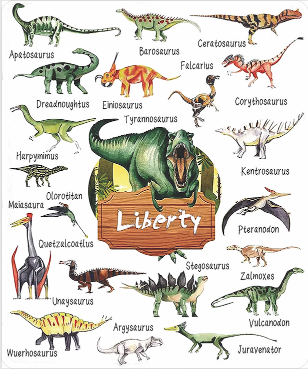 Custom Name Fleece Cartoon Dinosaur Theme Blanket
