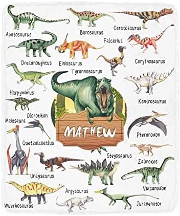 Custom Name Fleece Cartoon Dinosaur Theme Blanket