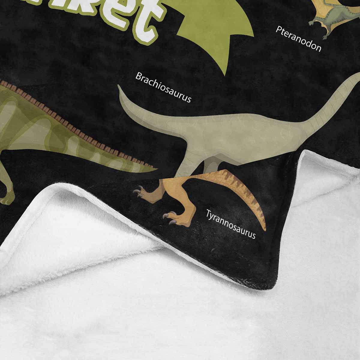 Custom Name Fleece Cartoon Dinosaur Blanket II19