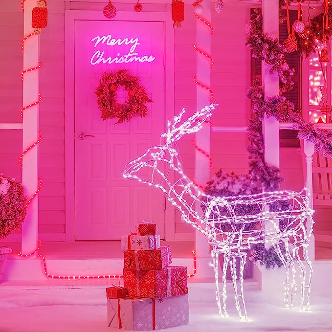 Premium Christmas Neon Sign for Party and Holiday Decorations - NeonTitle