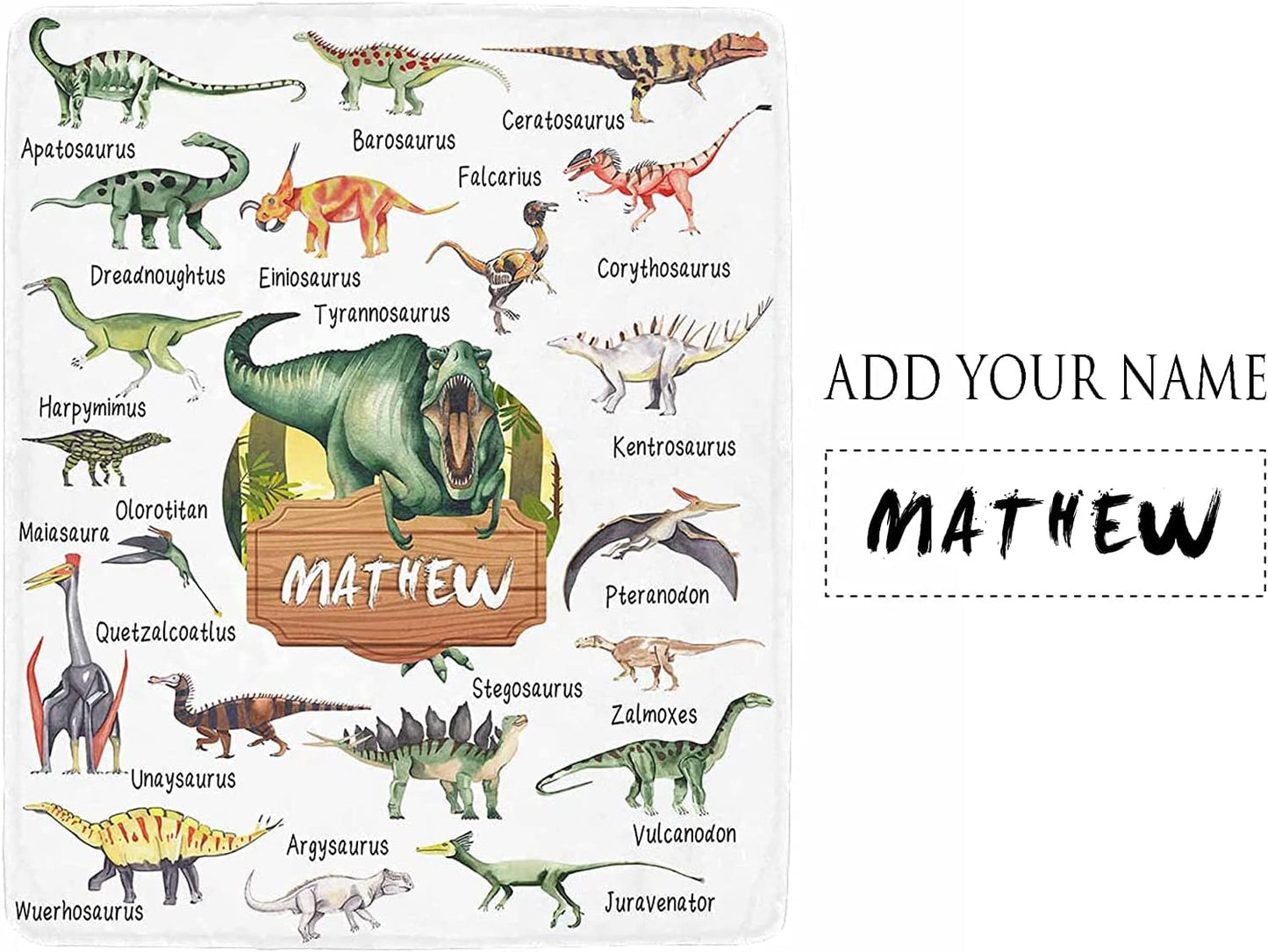 Custom Name Fleece Cartoon Dinosaur Theme Blanket