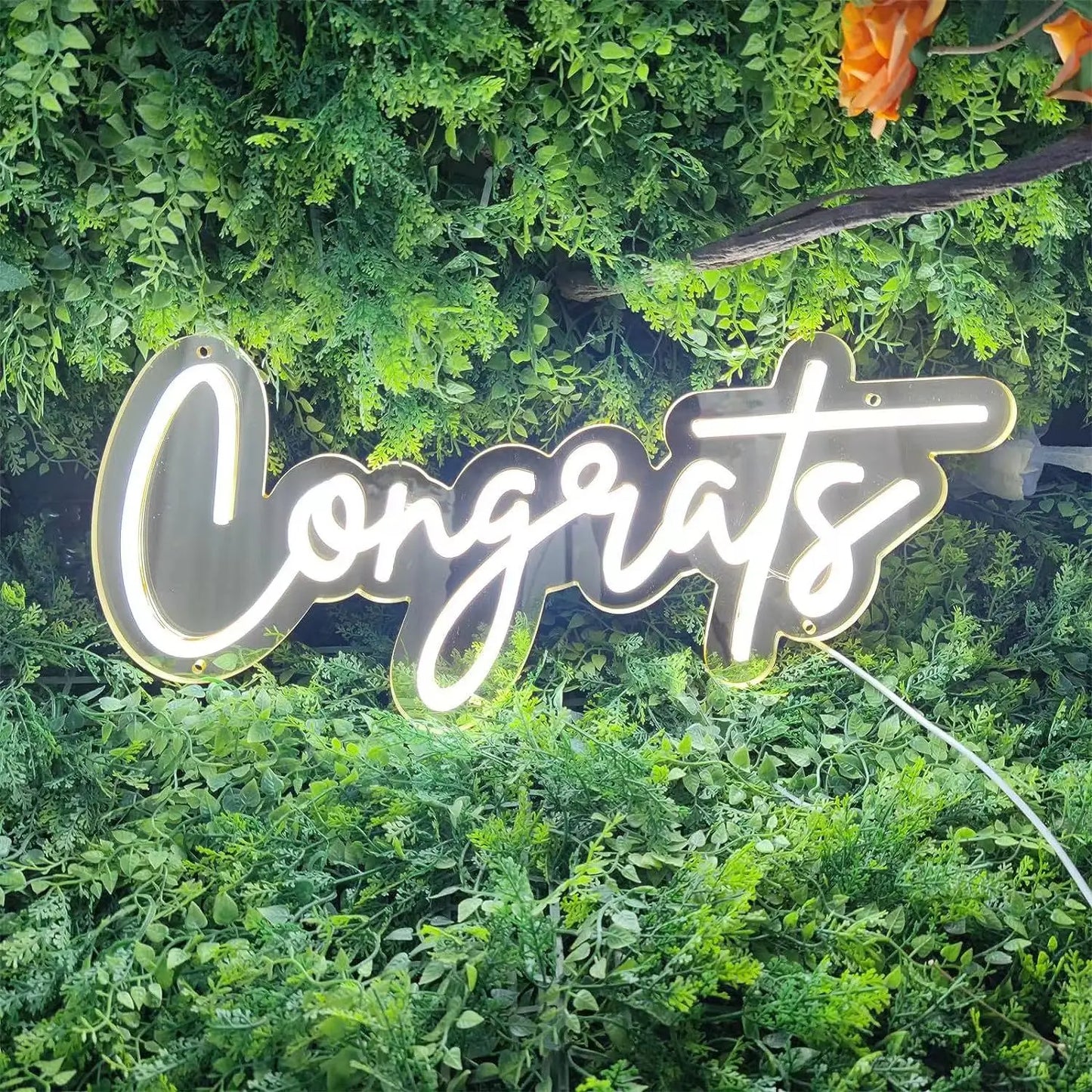 custom congrats neon sign - NeonTitle