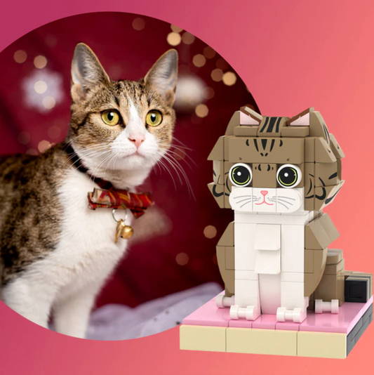 Custom-made Block Figure of One Black Dragon-Li Cat Made with Small Blocks