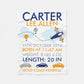 Custom Name Fleece Cartoon Airplane Blanket III09